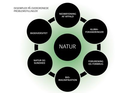 Natur model