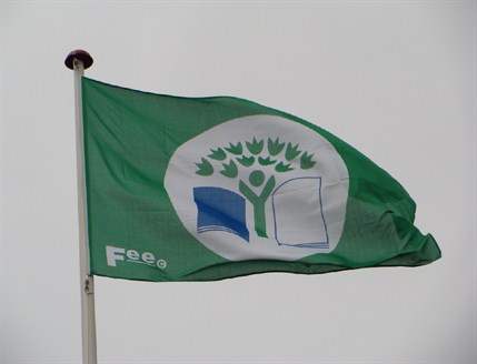 Grønt Flag på flagstang